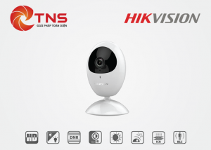 CAMERA HIK- VISION DS-2CV2U21FD-IW (2 MP)